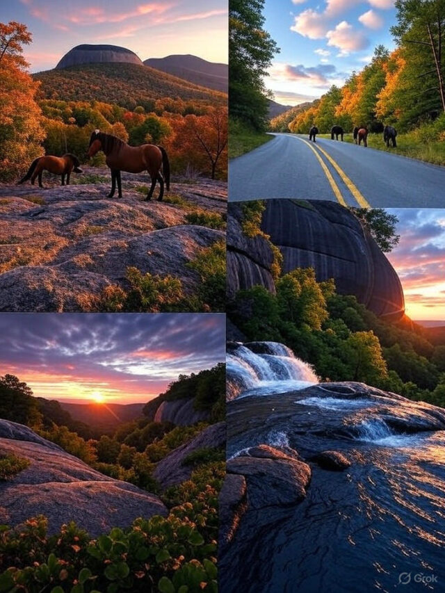 Top 5 Hidden Gems in North Carolina You Won’t Believe Exist